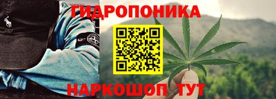 тгк Дубна